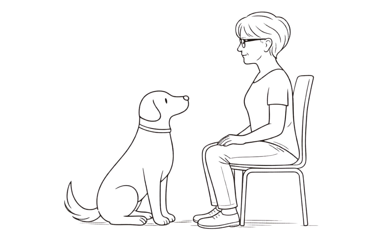 Professional dog behavioural consultation with APDT-registered behaviourist at Puppy PlayBarn, Norwich