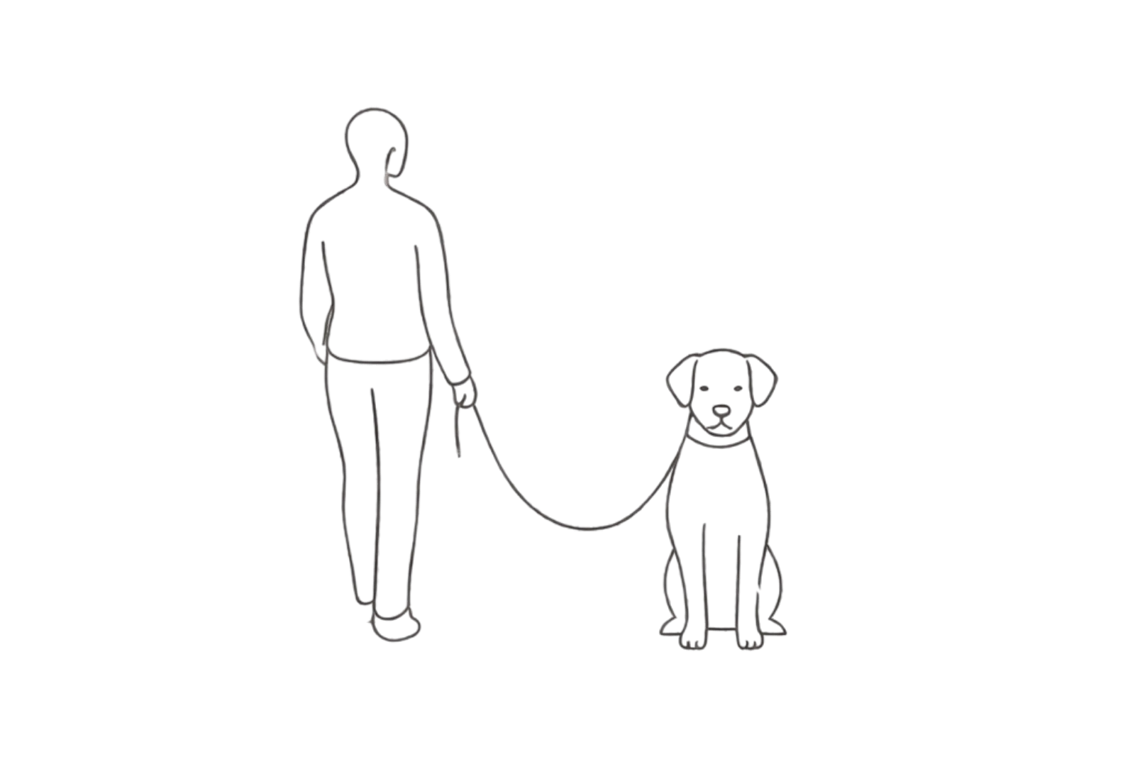 Dog training at Puppy PlayBarn