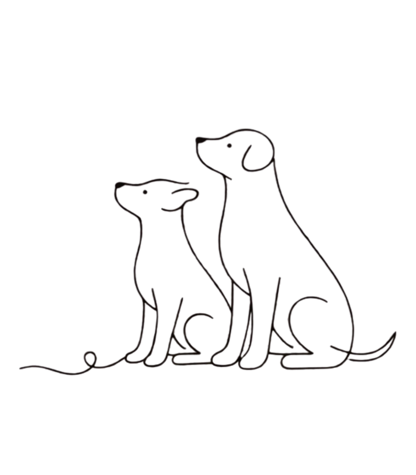 Dog training at Puppy PlayBarn, Poringland, Norwich